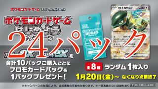 ポケモン　スカーレットex バイオレットex プロモーションカード