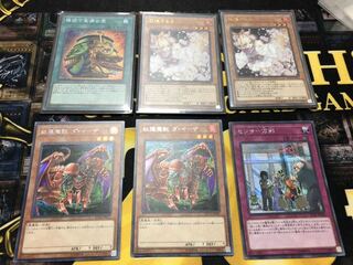 遊戯王 強欲で金満な壺 セット