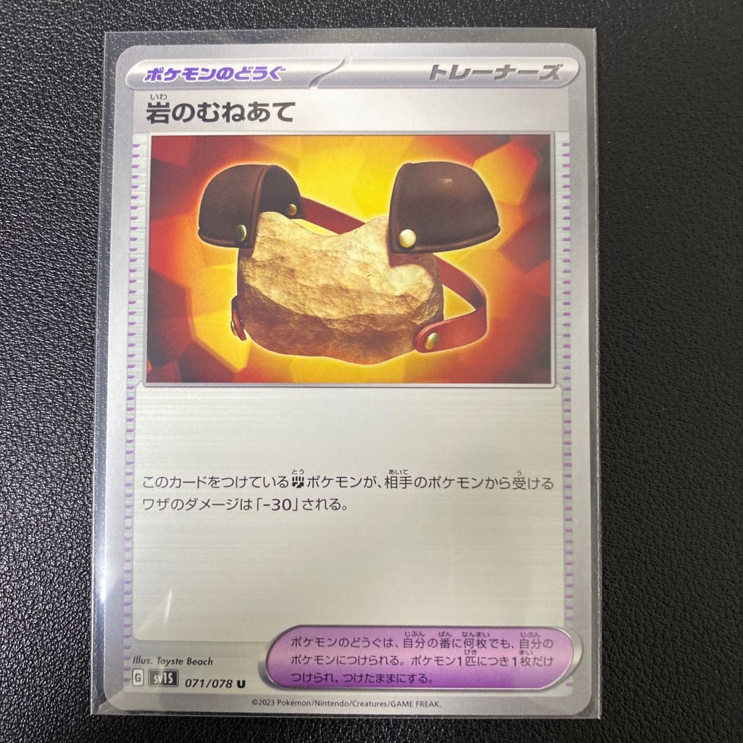 Pyrrosia tricuspis (species of felt fern)