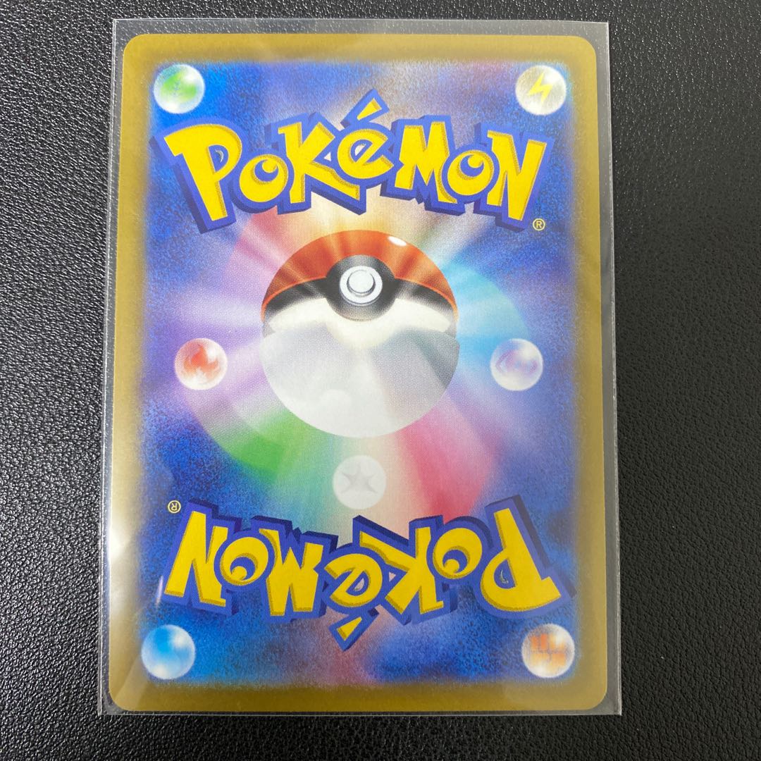 Pyrrosia tricuspis (species of felt fern)