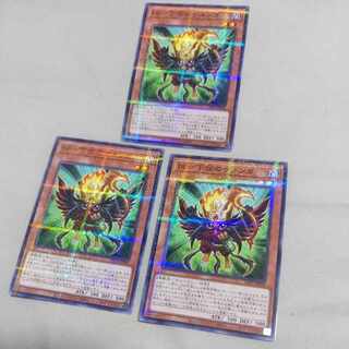 BF-Sarunga Nopara of the Lower String