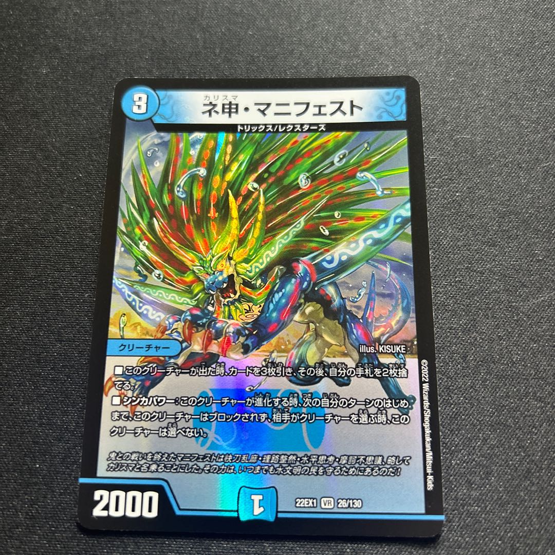 DM22-EX1/26/VR/Neshin Manifesto