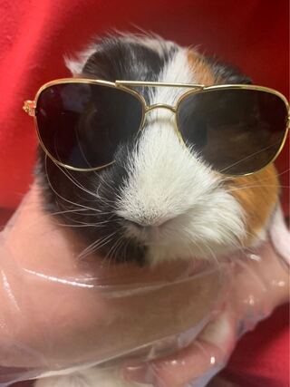 コンプにご協力下さい！第三弾