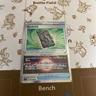 森の封印石 R 092/098