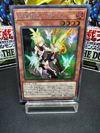 焔聖騎士-オジエ