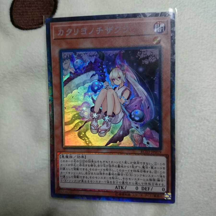 カクリヨノチザクラ コレクターズ