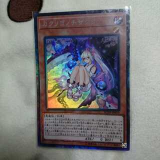 カクリヨノチザクラ コレクターズ