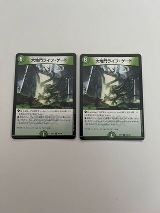 Daichimon Life Gate U 98/138