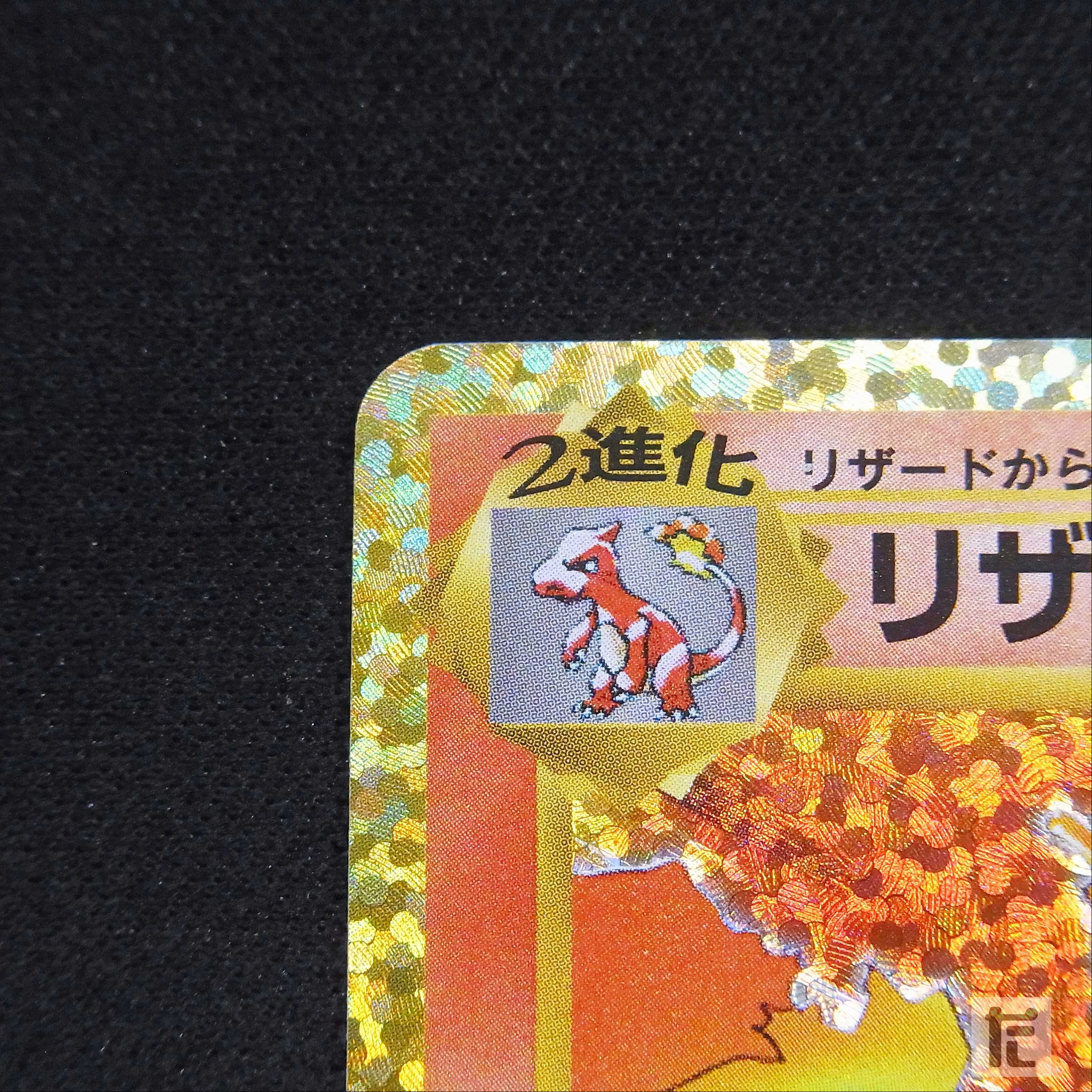 まるりんこん U00048644569_001L.JPG