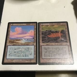 Saprazzan Skerry Common 328/350 Set of 2 2枚