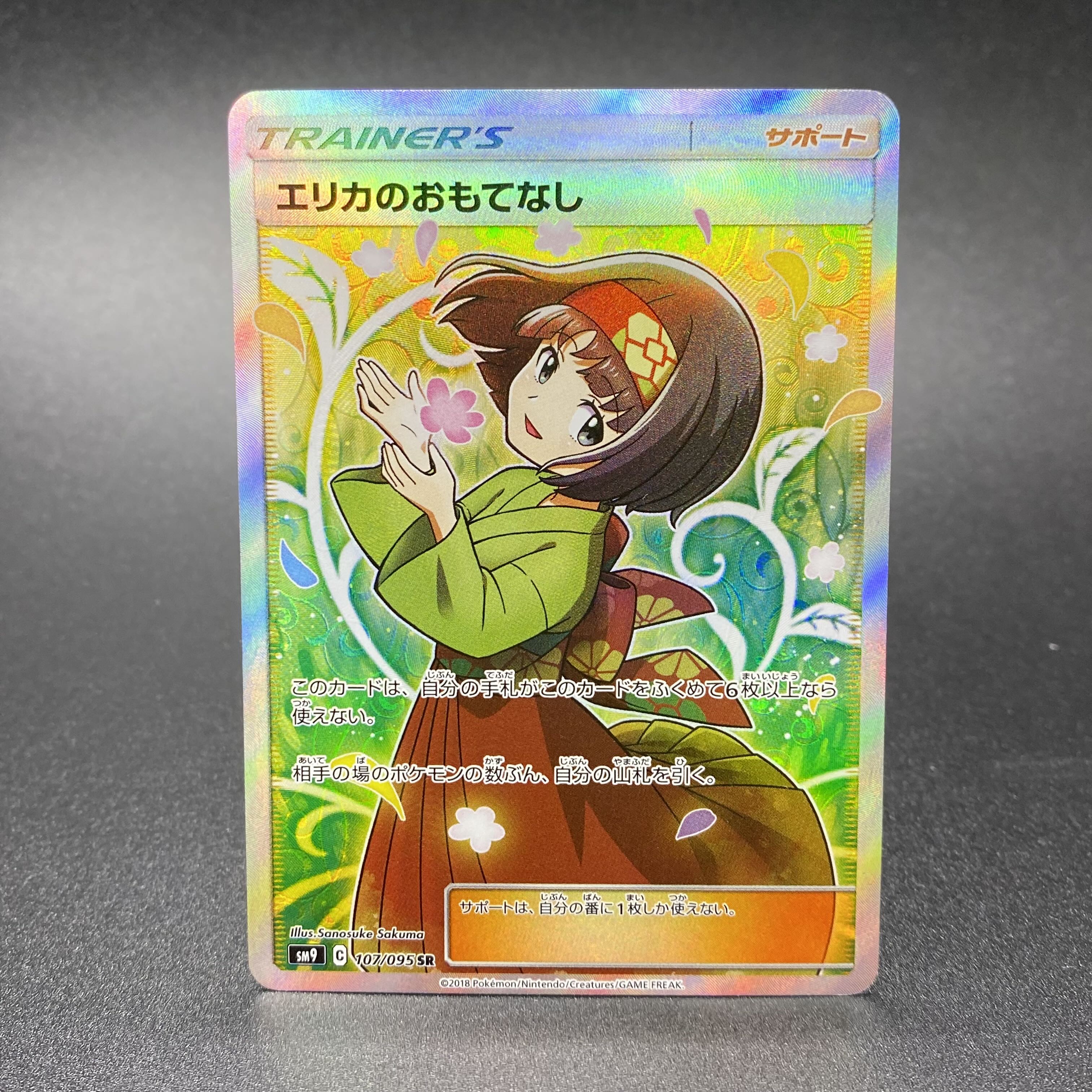 Erika's Hospitality SR 107/095