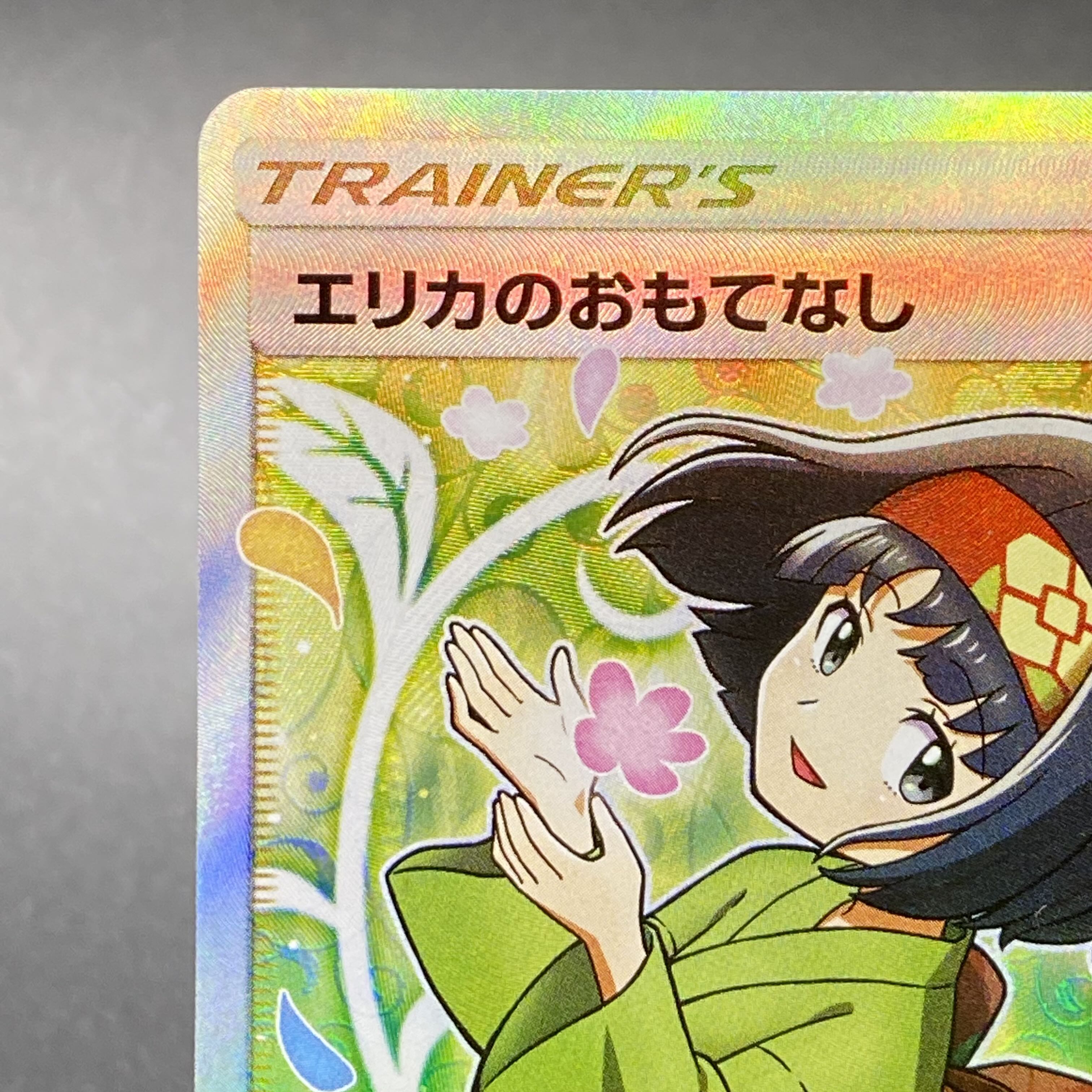 Erika's Hospitality SR 107/095