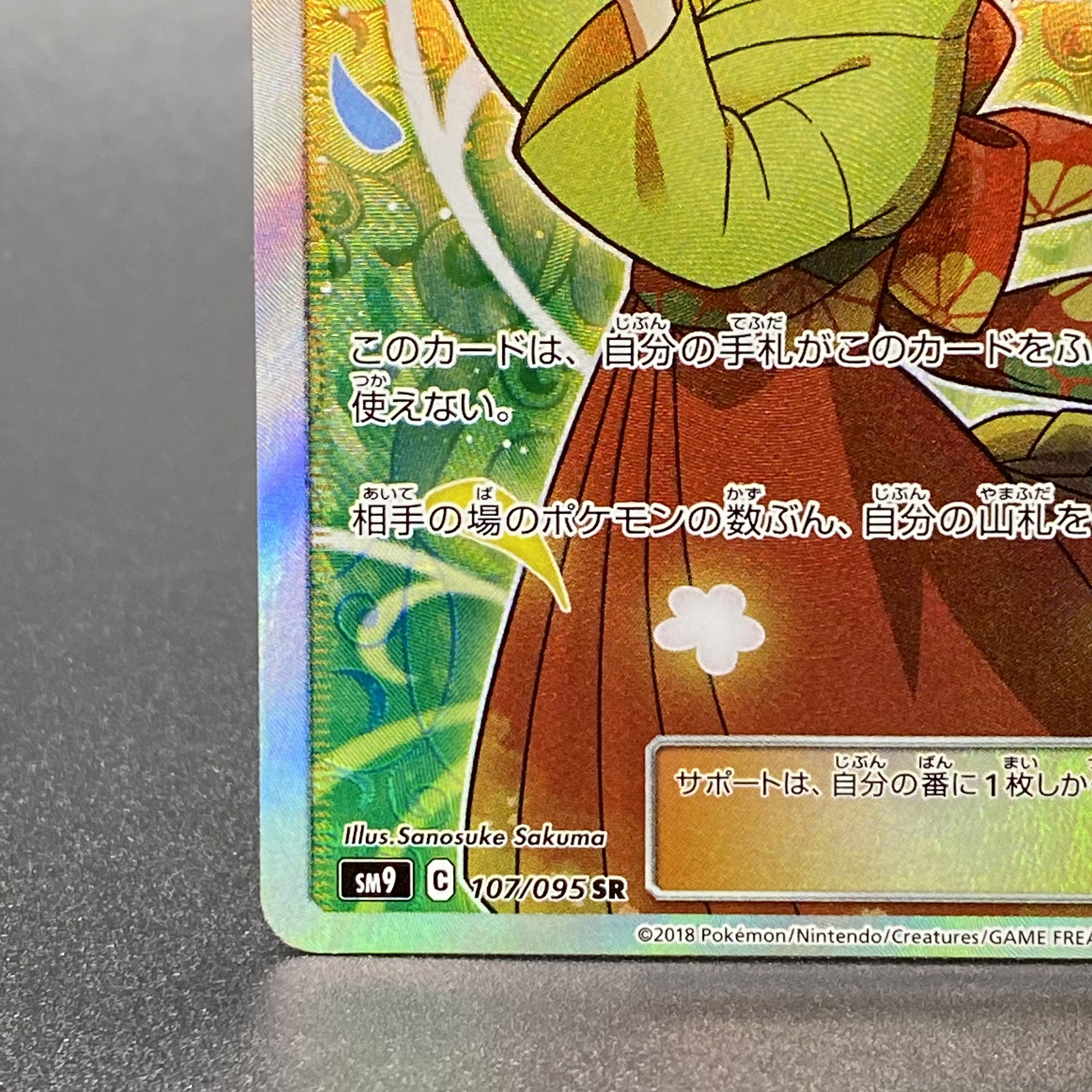 Erika's Hospitality SR 107/095