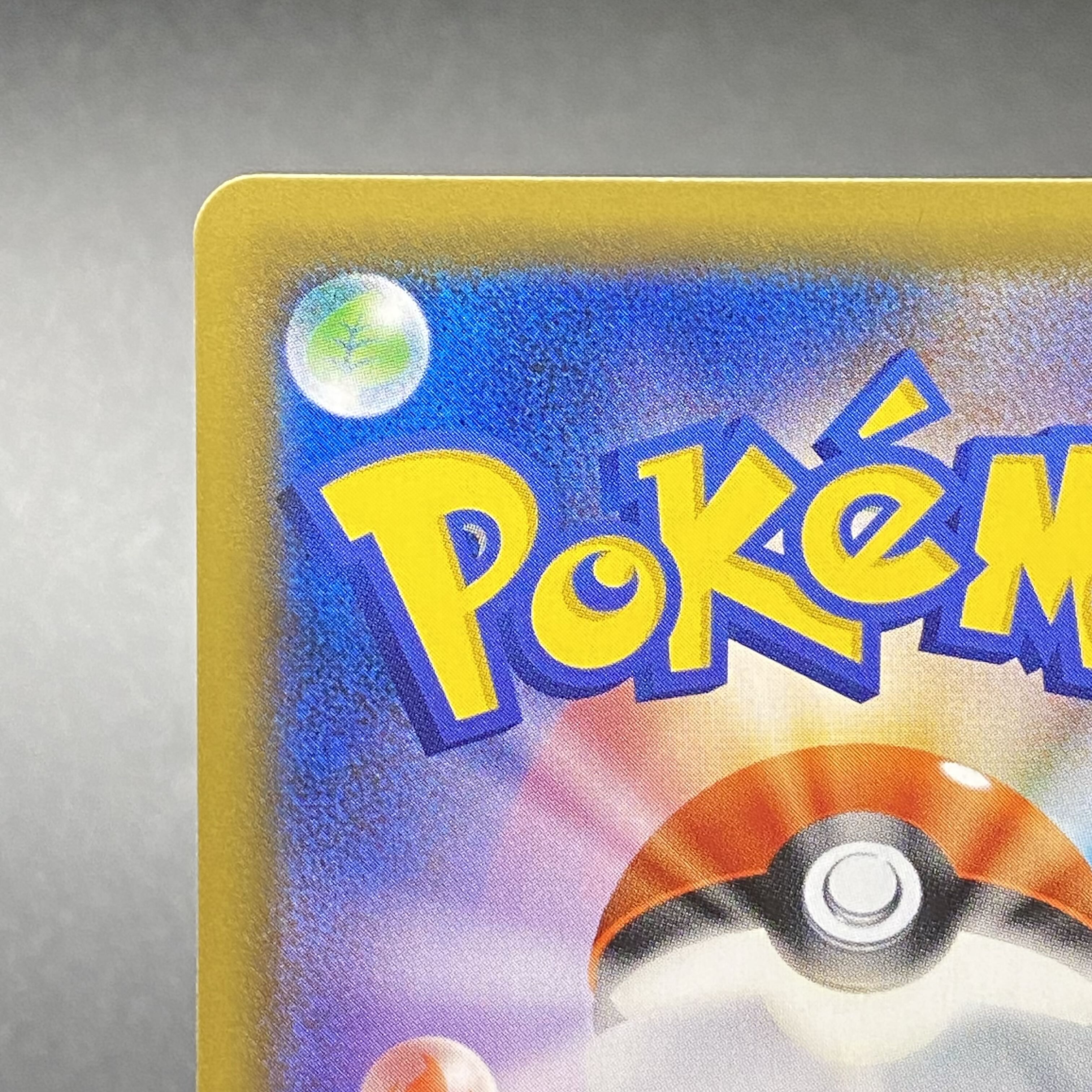 Erika's Hospitality SR 107/095