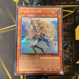 Lady of the Lake Secret SHSP-FR084 French Version