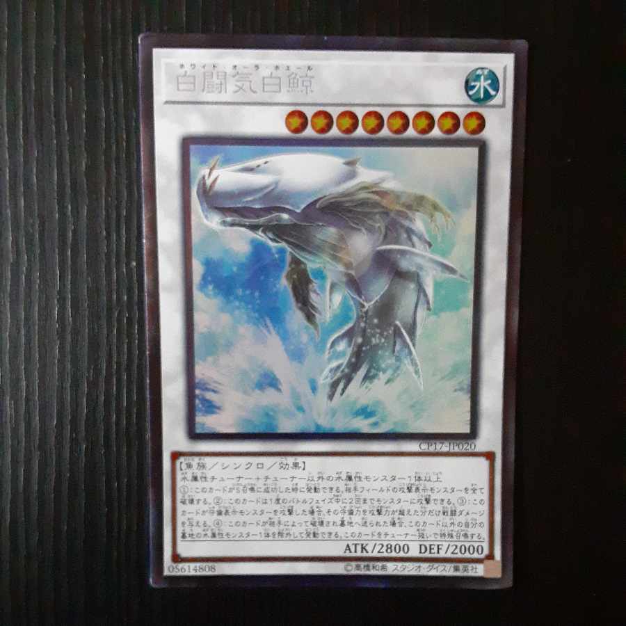 White Aura Whale Collector's Rare JP020