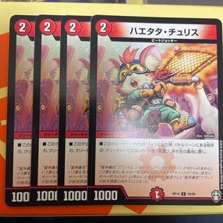 Haetata Chu Squirrel C 78/95