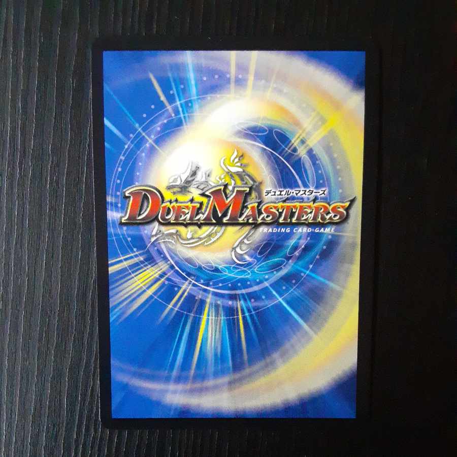 百族の長 プチョヘンザ LEG 13/50