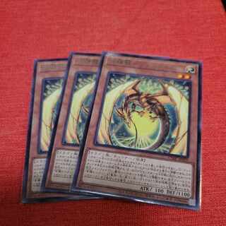 Hundred Apple Dragon - Ringo Blum Rare JP029