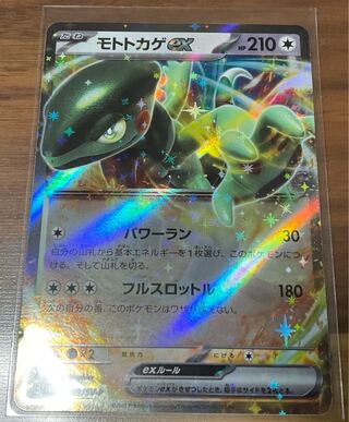 Moto lizard ex promo