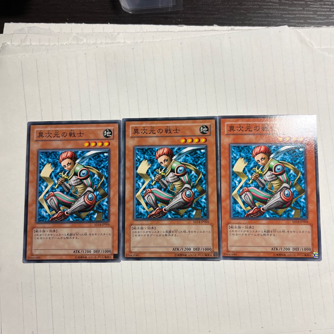 D.D. Warrior Normal JP004