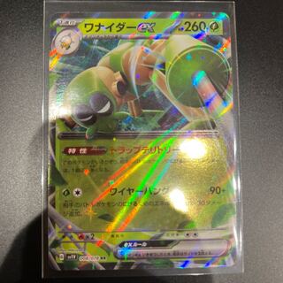 Wanider ex RR 008/078 1枚