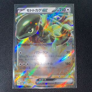 Moto lizard ex promo