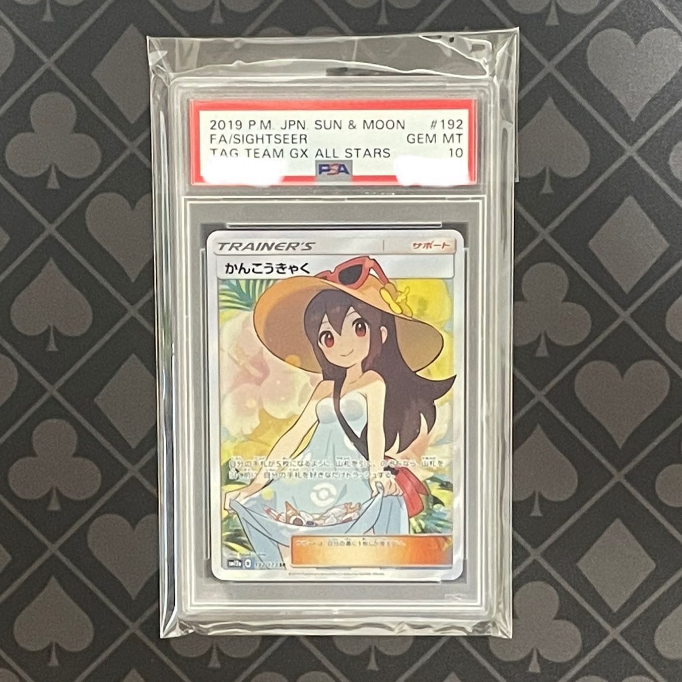 PSA10] Sightseer SR 192/173