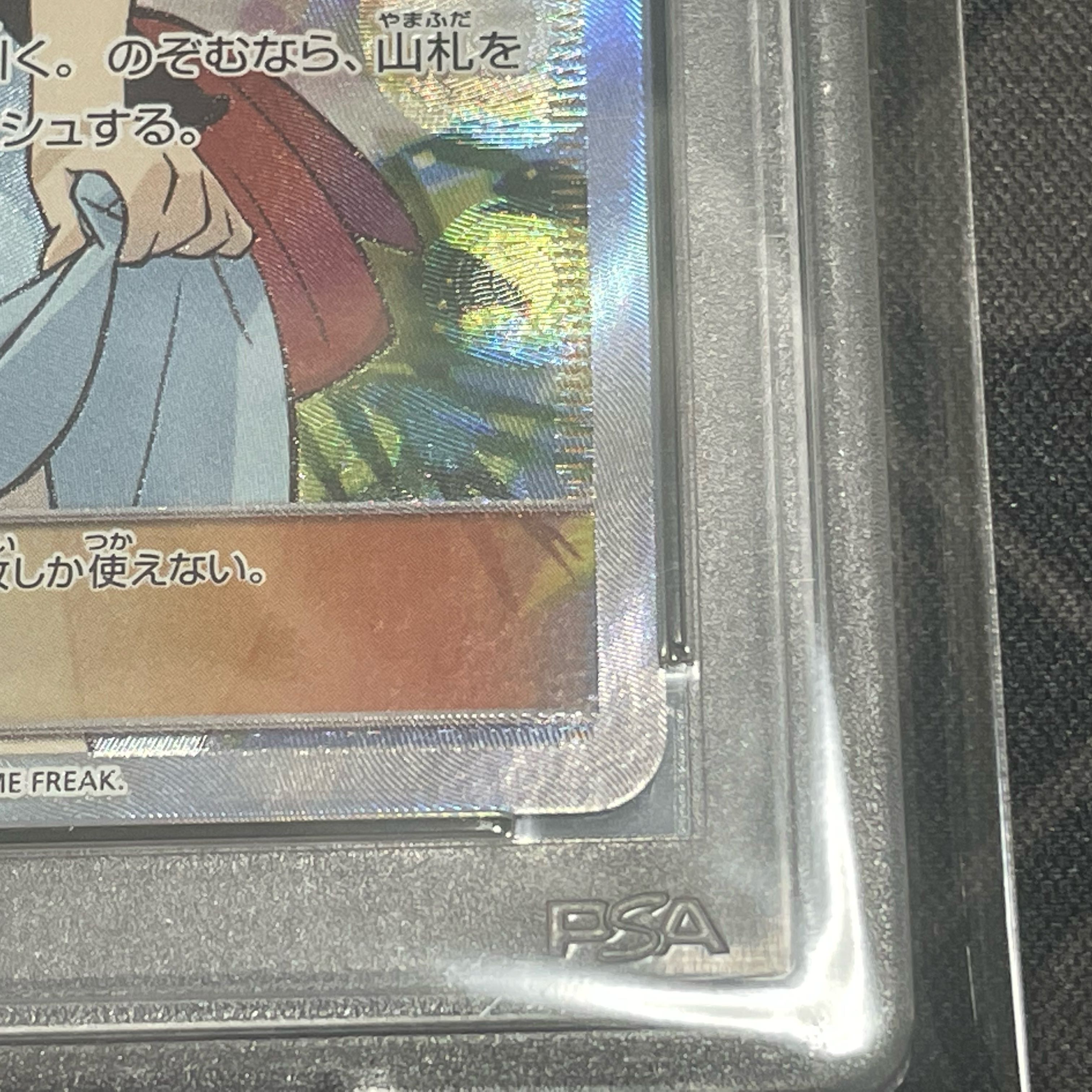 PSA10] Sightseer SR 192/173