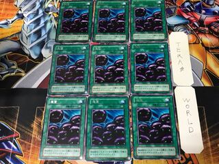 魔菌 PG 2期ver 3 レア 9枚セット てら