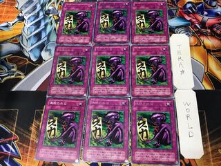 Fake Trap B3 2nd period ver 1 rare set of 9 tera