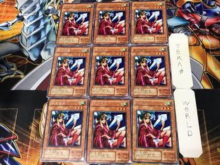 Princess of Tsurugi ME 2nd period ver 2 Rare 9 pieces Tera