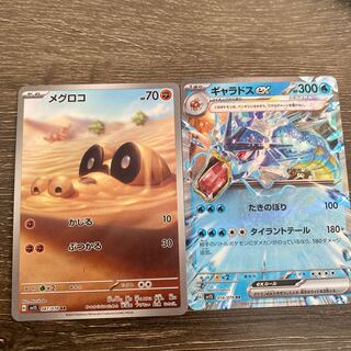 Sandile AR 087/078 Gyaradosex