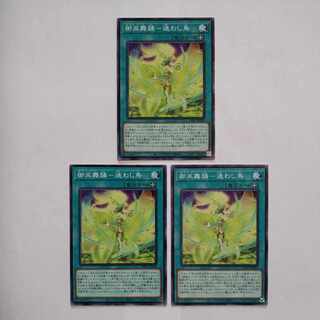 Miko Dance - Lost Bird Normal JP062 Set of 3