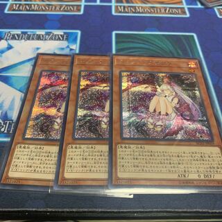 Red Blossoms from Underroot Sik.