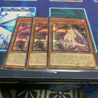 カクリヨノチザクラ　シク