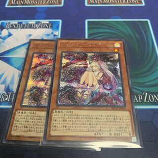 カクリヨノチザクラ　2枚　シク