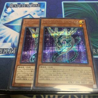 Cyber Dragon Nexteer Sic.