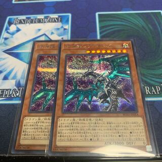 混源龍レヴィオニア　シク