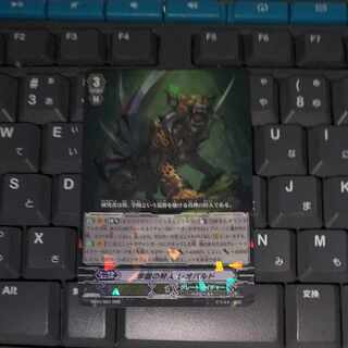 School hunter Leopardo Vanguard