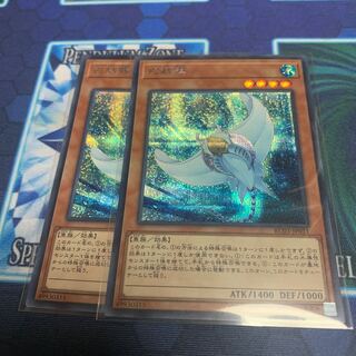 ホワイト・スティングレイ　シク