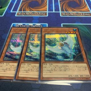 Ho Wight Hinotama Soul Ray Sik.