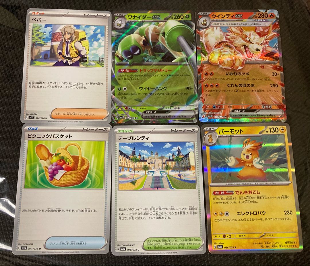 Table City Picnic Basket Pepper Windy ex Wanider ex RR Parmot R U Support Goods Violet ex