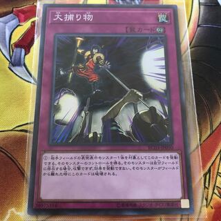 大捕り物 スーパーレア