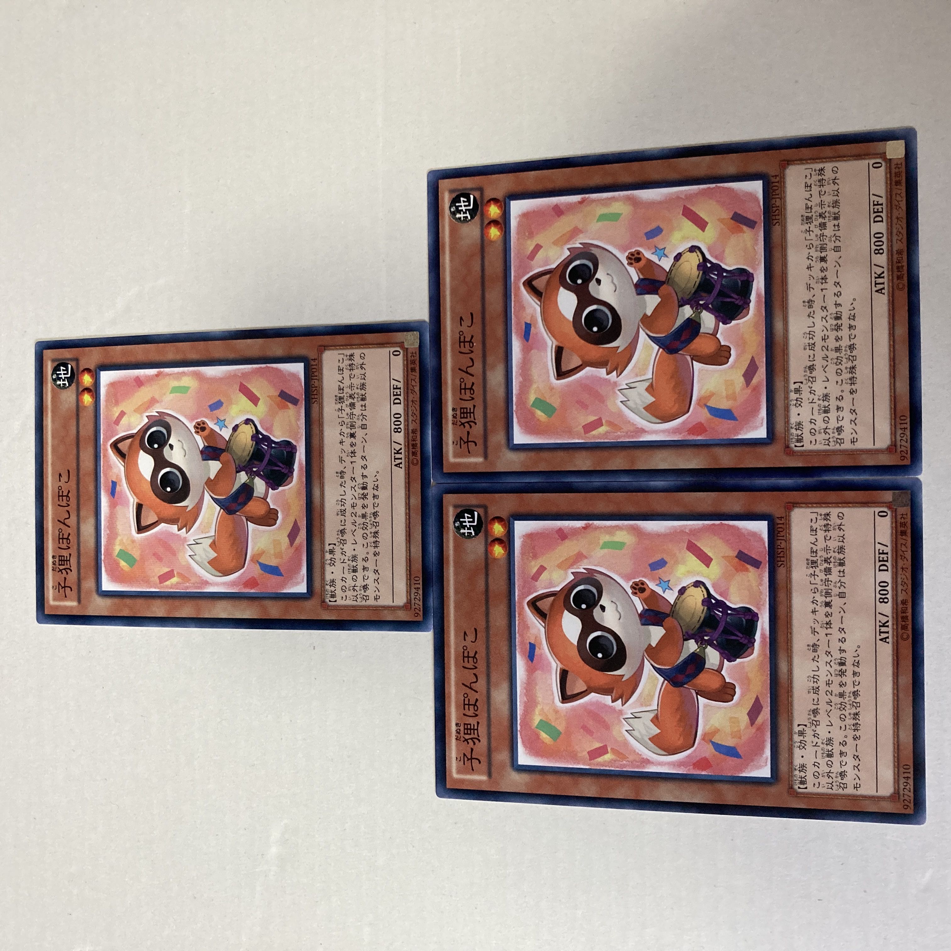 Baby Raccoon Ponpoko