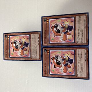 Baby Raccoon Ponpoko