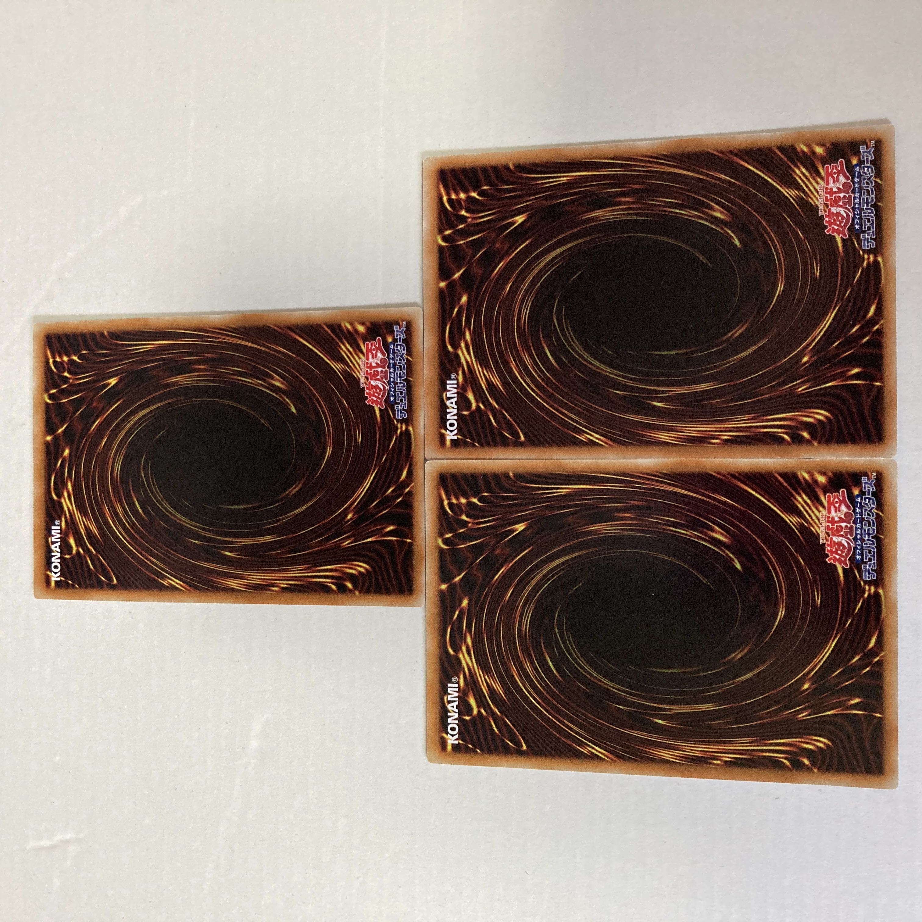 Baby Raccoon Ponpoko