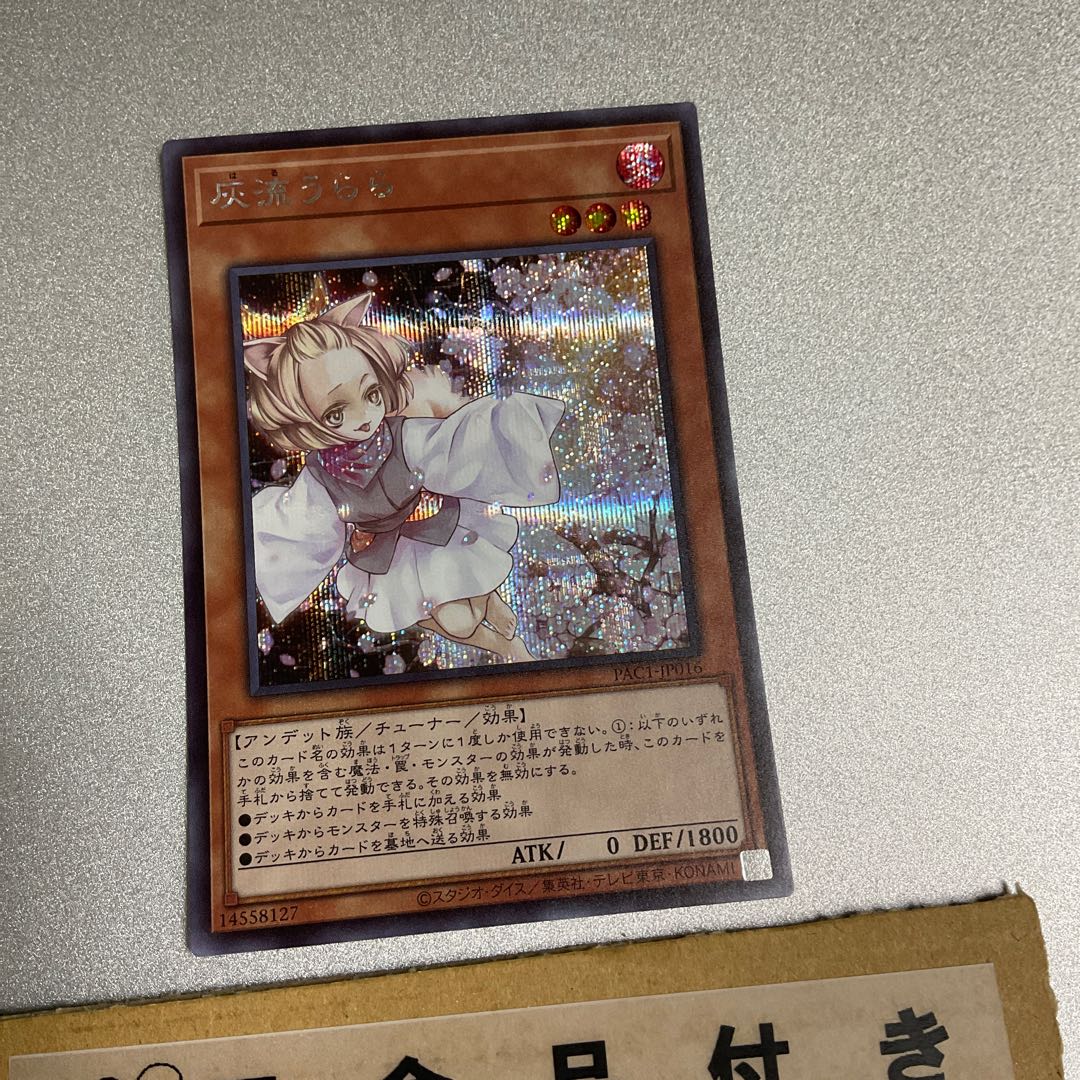 Ash Blossom & Joyous Spring Secret Rare JP016