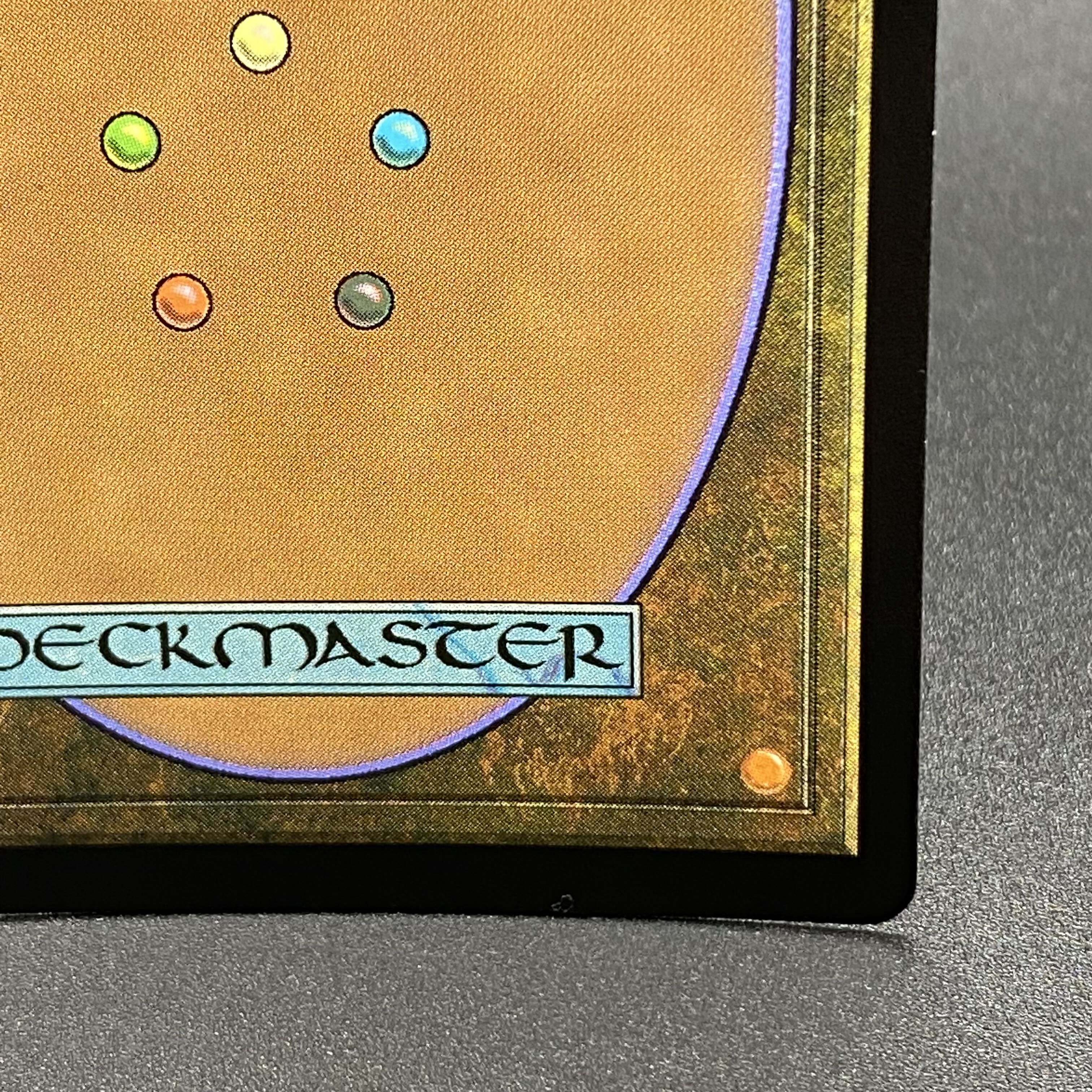 Misty Rainforest/misty Rainforest EN F EXP