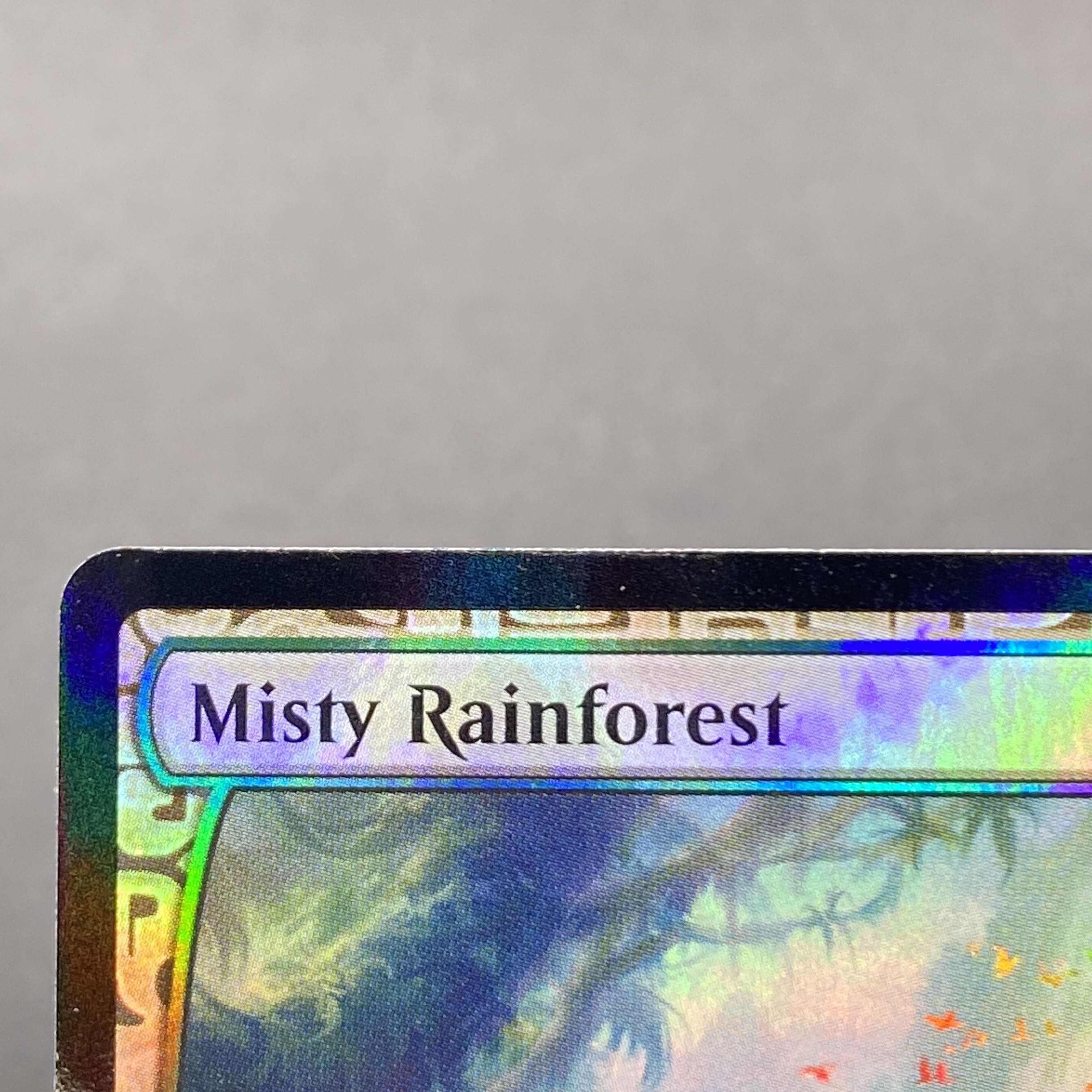 Misty Rainforest/misty Rainforest EN F EXP